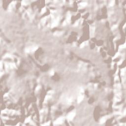 Banderas del Águila Terrain Map