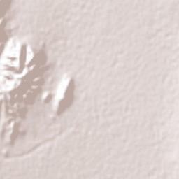 Jesús María de Berrones Terrain Map
