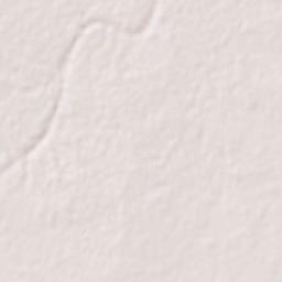 Basoda Terrain Map