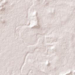 Tampiquito Terrain Map