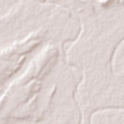 Soto la Marina Terrain Map