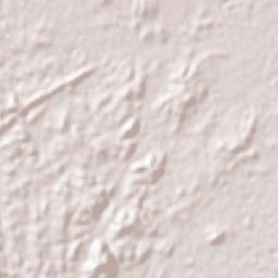 Ar Rayn Terrain Map