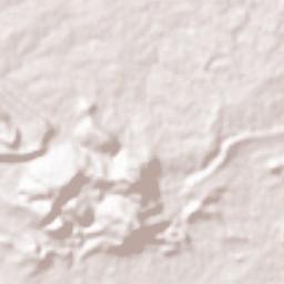 Shahdol Terrain Map