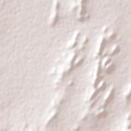 El Dieciséis Terrain Map