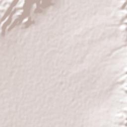 San José de Cuatro Caminos Terrain Map