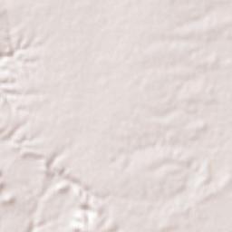 Sailana Terrain Map