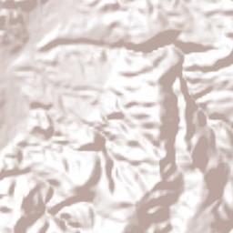 San Francisco del Mezquital Terrain Map