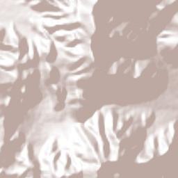 Bustamante Terrain Map