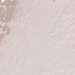 José María Morelos Terrain Map