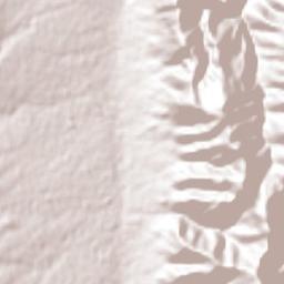 Palmillas Terrain Map