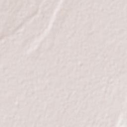El Salto Terrain Map