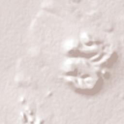 Carrillo Terrain Map