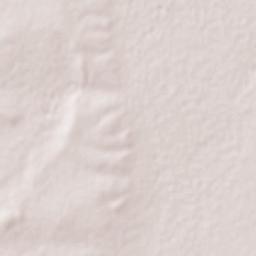 Gonzales Ortega Terrain Map