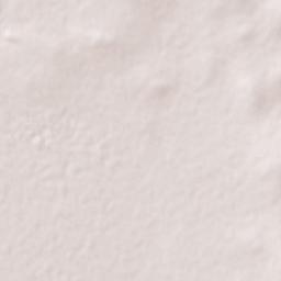 Santiaguillo Terrain Map