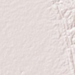 Chhāgalnāiya Terrain Map