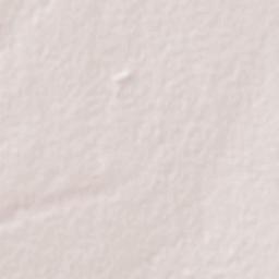 General Enrique Estrada Terrain Map