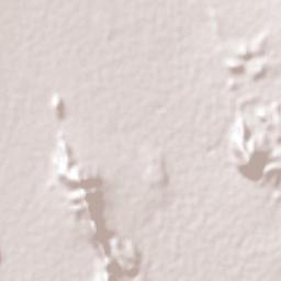 Lázaro Cárdenas Terrain Map