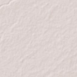 Xicoténcatl Terrain Map