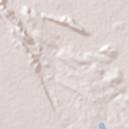 Rancho Veloz Terrain Map