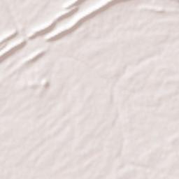 Dohad Terrain Map