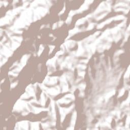Mezquital Terrain Map