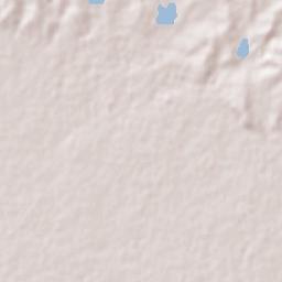 Unión de Reyes Terrain Map