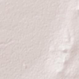 Tacoaleche Terrain Map
