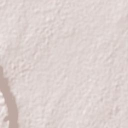 Ciudad Mante Terrain Map