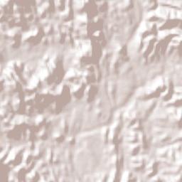 Huajicori Terrain Map