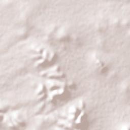 Pozo de Jarillas Terrain Map