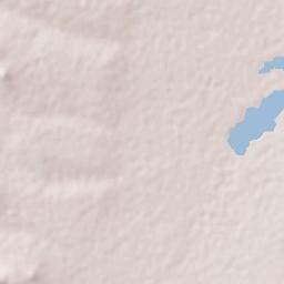 General Pánfilo Natera Terrain Map
