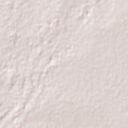 El Mante Terrain Map