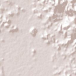 La Concha (La Concepción) Terrain Map