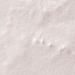 Bajío de San Nicolás Terrain Map