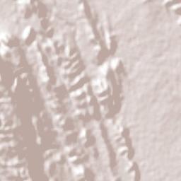 El Naranjo Terrain Map