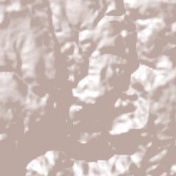 Santa Teresa Terrain Map
