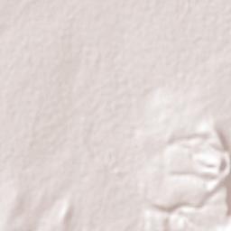 Santiago Terrain Map