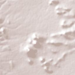 Villa Hidalgo Terrain Map