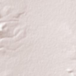 Peotillos Terrain Map