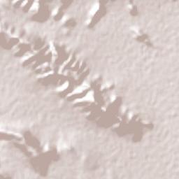 Palomas Terrain Map