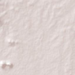 Nuevo Cereso Regional de Altamira Terrain Map