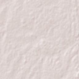 Carrillo Puerto Terrain Map