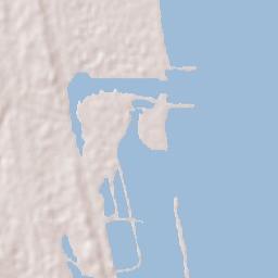 Ricardo Flores Magón Terrain Map