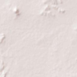 Chotila Terrain Map