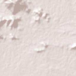 Bilaspur Terrain Map