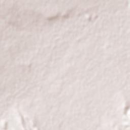 Palmar Primero Terrain Map