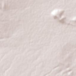 Corcovado Terrain Map