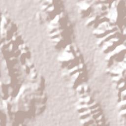 Maitinez Terrain Map