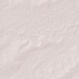 Nuevo Tantoán Terrain Map
