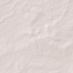 Guayalejo Terrain Map